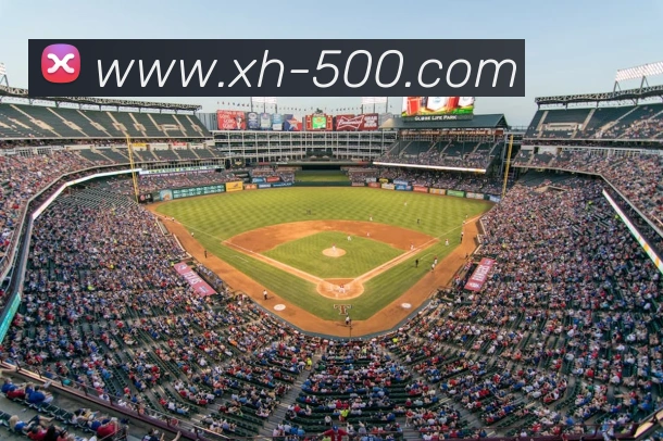 500彩票网平台生态图